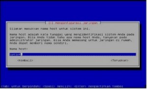 instalasi debian 7