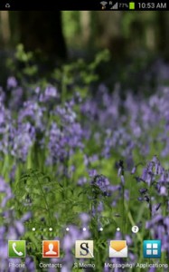 Alive Video Wallpaper