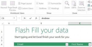 Excel-Flash-Fill-Data Excel Flash Fill Data