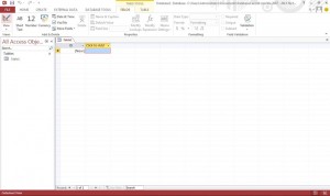 MS-Access-2013 MS Access 2013