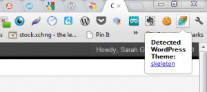chrome theme sniffer