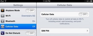 cellular data ipad
