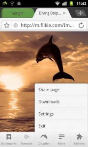 dolphin browser dolphin browser