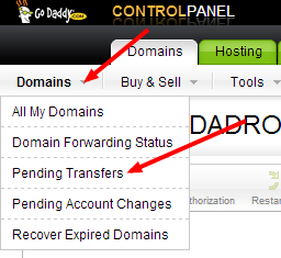  Cara Transfer Domain Dari Netfirms Ke GoDaddy