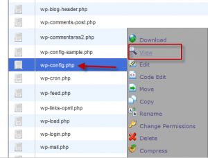 pilih view pilih view
