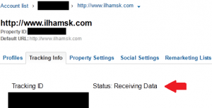 status google analytics