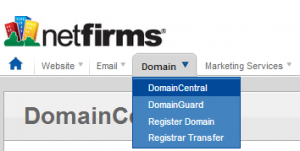 transfer domain dari netfirms ke godaddy