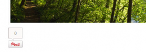 pinterest auto pin