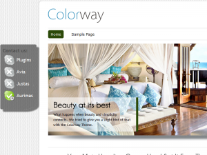 plugin neat skype status