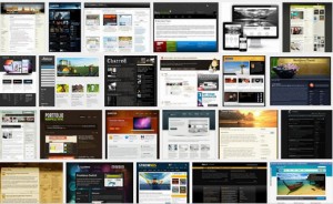 wordpress themes