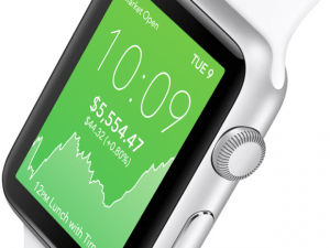 acorns apple watch